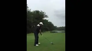 Swing SN TWGC