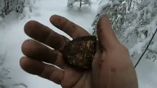 Коп по войне Серия 222 После вынужденного простоя!