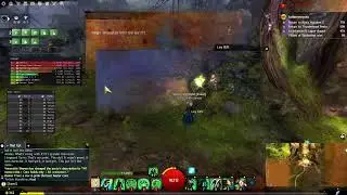 GW2 Core Builds only W1