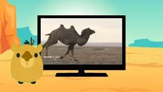 BabyTV BIM And Bam in the Animal World Camel