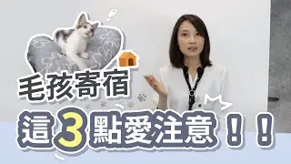 【寵物住宿這3點愛注意】