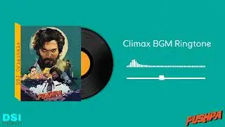 Pushpa Climax BGM Ringtone 🔥🔥The Rule of Pushparaj Begins!! #pushpa @DELICIOUSSOUTHINDIA
