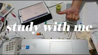 Study With Me Live  / Pomodoro 50/10 / Ambient Nature Sounds 118
