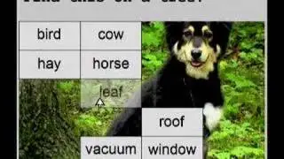 Special Ed Software Teaches Reading
