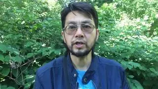 Еда Монахов: Буддизм, Индуизм, Православие, Мормоны. (личный опыт) Экс Буддисткий монах
