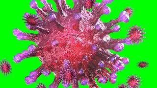 Covid 19 I Corona I Virus animated green screen video footage