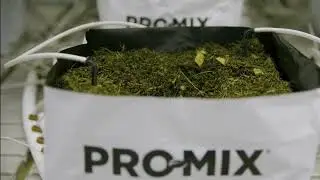 Save time, labor and space with PRO-MIX® Grow Bags (Coir or Peat)