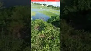 রুপসী বাংলার গ্রাম, বাংলাদেশের অপরুপ একটি লাইভ ভিডিও