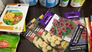 Обзор Покупок Семян 🌱💐🍅🫑на Дачный Сезон 2024г из  Леруа Мерлен и Wildberries/Сорта Ампельной петунии