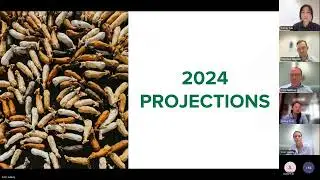 MLA Cattle Projections - 11 March 2024 Webinar Recording