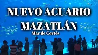 NUEVO ACUARIO MAZATLÁN