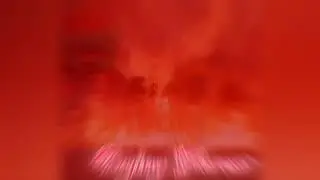 Dying Forest (Official Song)