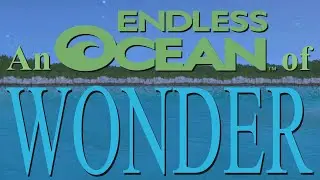An Endless Ocean of Wonder