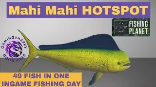 Fishing Planet, MAHI MAHI HOTSPOT