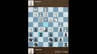 Я vs GambitFruit. Жертва ферзя, построение Уйтелки или почему движки плохи в закрытых позициях.
