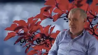 Хаджалмахинский этюд 135