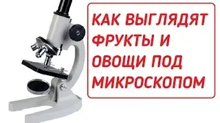 КАК ВЫГЛЯДЯТ ФРУКТЫ И ОВОЩИ ПОД МИКРОСКОПОМ[SweetsShow]