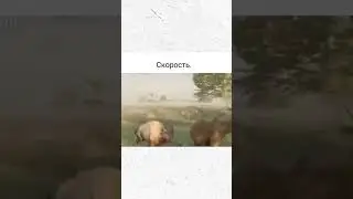 Пиши от кого не ожидал такой скорости