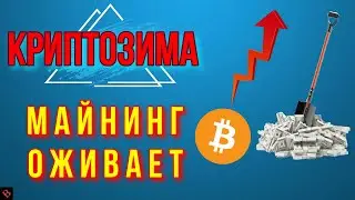 ДОХОДНОСТЬ МАЙНИНГА ЗА НЕДЕЛЮ / майнинг