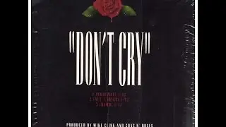 Guns N' Roses - Don't Cry (performed by Marina V)