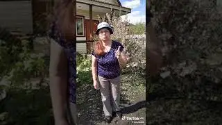ПРОТИВ ФИТОФТОРЫ ДЛЯ ПОМИДОР