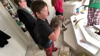 Santa brought KITTENS!!