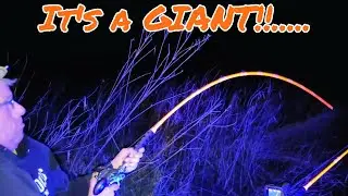 It DIDN'T MOVE On The Hook Set!! (GIANT Catfish on Live Bullhead)