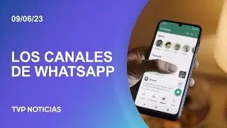 Los canales de WhatsApp ya son oficiales: cómo usar la nueva función