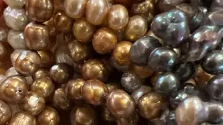 Pearl Party