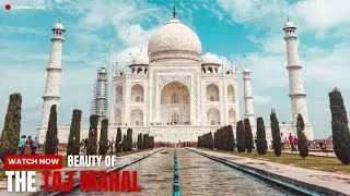 Beauty Of The Taj Mahal - Learning Cage