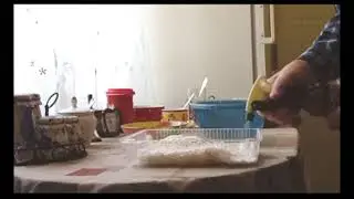 Шампиньоны дома, на подоконнике