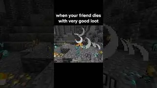 Minecraft Friend Moment