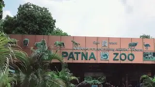 Welcome to Patna Zoo |One of the Best place in Patna_IIT Patna to Zoo #patna #patnazoo#iitp#iitpatna
