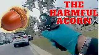 Florida Police Sh00t Man After Mistaking Falling Acorn for Gunsh0t