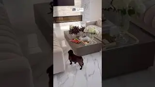 Доброе утро ✨🍉🍇