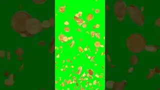 gold coin green screen