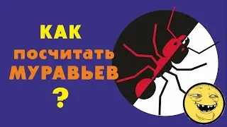 Ant farm. How to count ants in a formicarium. (joke video)