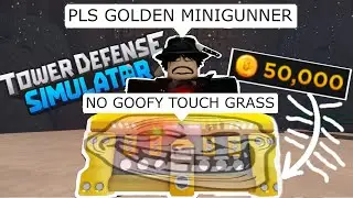 I Got a Golden Crate in TDS | Roblox