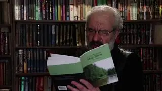 Скрипка