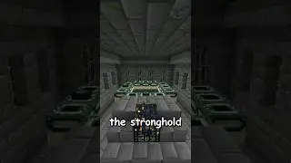 The RAREST Structures In Minecraft