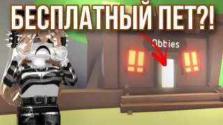 Проверка лайфхаков в adopt me 😉💗