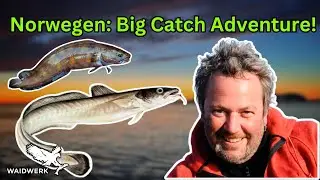 Unvergesslicher Angeltrip nach Nautnes Fiskevær, Norwegen | Mit Rainer Korn auf Fischjagd