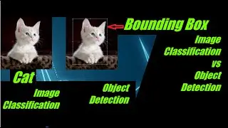 Image Classification vs Object Detection in Machine Learning