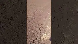 Фрезерование почвы под посадку