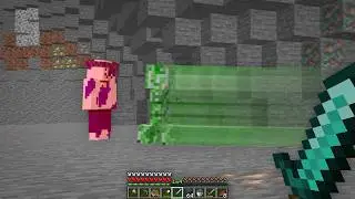 I Played Minecraft on 100x Speed