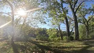 Swinging by the lake 