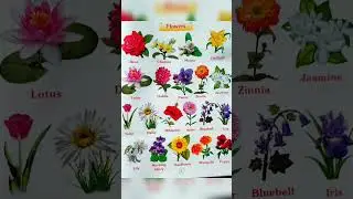 Flowers Name || 10 Flower name || flower name 10 #shorts #viralvideo #ytshorts #youtubeshorts