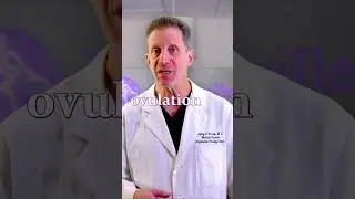 Have Sex On This Day If You Want To Get Pregnant!