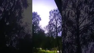 5 июля 2024 г.