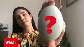 Are eggs good for you? 3 egg myths debunked